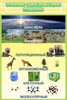 Стенд "Уровни организации живого" - fgospostavki.ru - Норильск