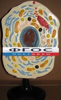 Модель "Клетка животного" - fgospostavki.ru - Норильск