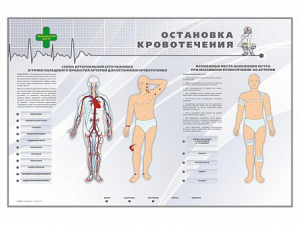 Электрифицированный стенд "Остановка кровотечения" - fgospostavki.ru - Норильск