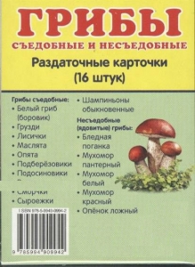 Раздаточные карточки "Грибы съедобные и не съедобные" - fgospostavki.ru - Норильск