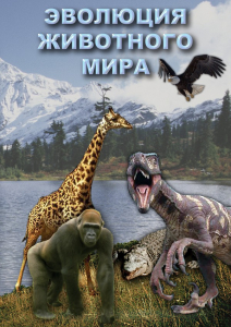 DVD "Эволюция животного мира" - fgospostavki.ru - Норильск