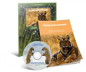 Электронное наглядное пособие «Млекопитающие» - fgospostavki.ru - Норильск