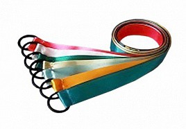 Лента гимнастическая на кольце (1 метр) - fgospostavki.ru - Норильск