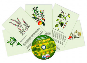 Интерактивный наглядный комплекс "Гербарий "Для начальной школы" - fgospostavki.ru - Норильск