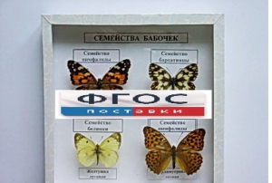 Коллекция "Семейство бабочек" - fgospostavki.ru - Норильск