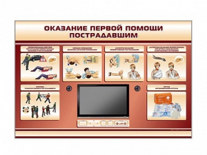 Многофункциональный интерактивный стенд-тренажер "Оказание первой помощи пострадавшим" для учащихся общеобразовательных учреждений - fgospostavki.ru - Норильск