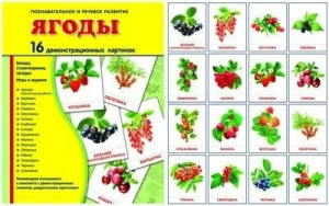 Демонстрационные карточки "Ягоды" - fgospostavki.ru - Норильск