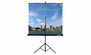 Проекционный экран на штативе Lumien Eco View (LEV-100105) 160x160 см - fgospostavki.ru - Норильск