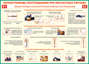 Таблица "Общий порядок оказания первой помощи пострадавшим" (100х140 сантиметров, винил) - fgospostavki.ru - Норильск