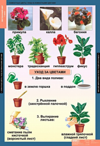 Комплект таблиц. Окружающий мир 1 класс. - fgospostavki.ru - Норильск