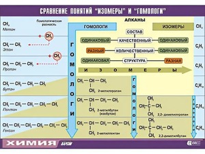 Таблица демонстрационная "Сравнение понятий изомер и гомолог" (винил 70x100) - fgospostavki.ru - Норильск