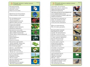 Комплект карточек (10) "Обучающий калейдоскоп. Природа" - fgospostavki.ru - Норильск