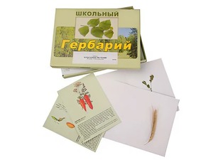 Гербарий "Культурные растения" (30 видов, с иллюстрациями) - fgospostavki.ru - Норильск