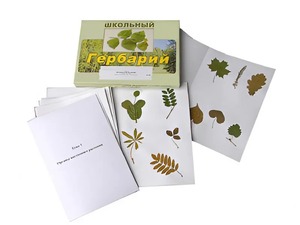 Гербарий "Морфология растений" (6 тем, 30 видов) - fgospostavki.ru - Норильск