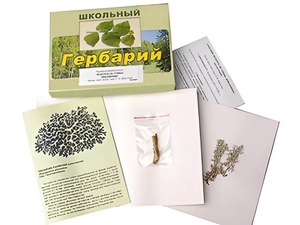 Гербарий "Водоросли. Грибы. Лишайники" (раздаточный) - fgospostavki.ru - Норильск
