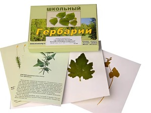Гербарий "Систематика растений. Высшие споровые и семенные" (раздаточный) - fgospostavki.ru - Норильск