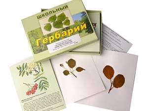 Гербарий "Систематика растений. Семейство Розоцветные" (раздаточный) - fgospostavki.ru - Норильск