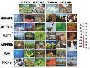 Фенологические наблюдения - fgospostavki.ru - Норильск