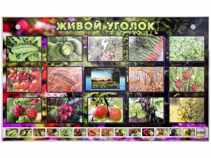 Комплект оборудования "Живой уголок" (растения) с тифлопереводом и сурдокомментариями - fgospostavki.ru - Норильск
