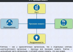 Интерактивные курсы. Биология 5 класс. Базовый - fgospostavki.ru - Норильск