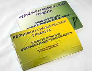 Пособие для слабовидящих детей - Рельефно-графическая грамота для слепых детей дошкольного и младшего школьного возраста - fgospostavki.ru - Норильск