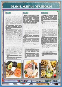 Стенд "Белки. Жиры. Углеводы" - fgospostavki.ru - Норильск