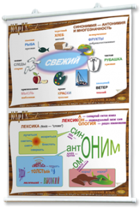 Плакаты по русскому языку для оформления кабинета. - fgospostavki.ru - Норильск