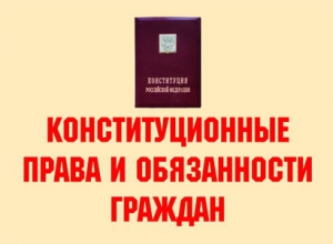 Комплект плакатов "Конституционные права и обязанности граждан" - fgospostavki.ru - Норильск