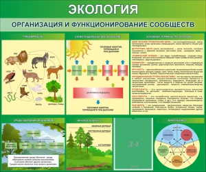 Стенд "Экология. Организация и функционирование сообществ" - fgospostavki.ru - Норильск