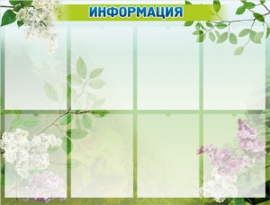 Стенд "Информация" Вариант 13 - fgospostavki.ru - Норильск