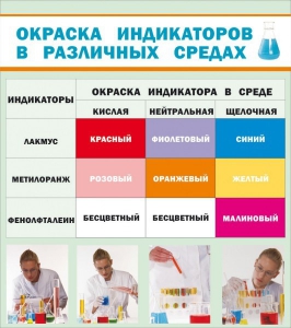 Стенд "Окраска индикаторов в различных средах" - fgospostavki.ru - Норильск