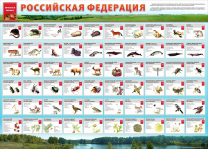Стенд "Красная книга РФ" - fgospostavki.ru - Норильск