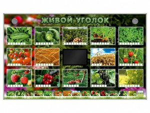 Комплект оборудования "Живой уголок" (растения) - fgospostavki.ru - Норильск
