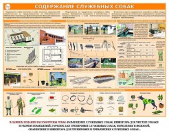 Комплект плакатов "Кинология" - fgospostavki.ru - Норильск