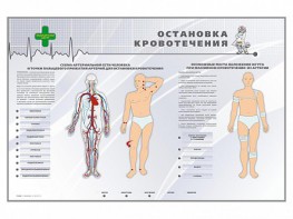 Электрифицированный стенд "Остановка кровотечения" - fgospostavki.ru - Норильск