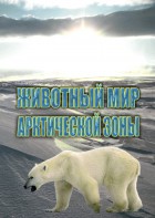 DVD "Животный мир Арктической зоны" - fgospostavki.ru - Норильск
