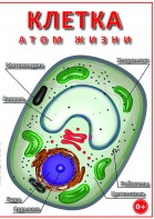 DVD "Клетка - "атом жизни" - fgospostavki.ru - Норильск