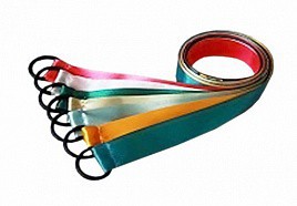 Лента гимнастическая на кольце (1 метр) - fgospostavki.ru - Норильск