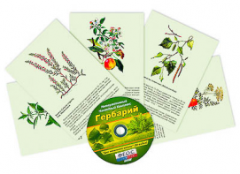Интерактивный наглядный комплекс "Гербарий "Для начальной школы" - fgospostavki.ru - Норильск