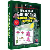 Наглядная биология. 6 класс. Растения. Грибы. Бактерии - fgospostavki.ru - Норильск