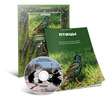 Электронное наглядное пособие «Птицы» - fgospostavki.ru - Норильск