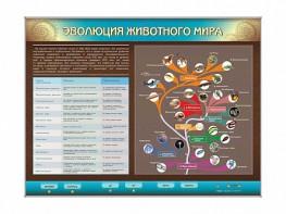 Интерактивный электрифицированный стенд "Эволюция животного мира" - fgospostavki.ru - Норильск