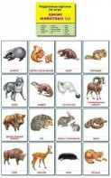 Раздаточные карточки "Дикие животные (1)" - fgospostavki.ru - Норильск