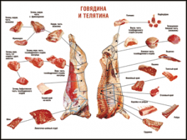 Таблица "Правила разделки мясных туш. Говядина и телятина" (100х140 сантиметров, винил) - fgospostavki.ru - Норильск