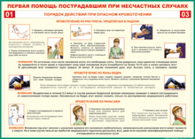 Таблица "Порядок действий при опасном кровотечении" (100х140 сантиметров, винил) - fgospostavki.ru - Норильск