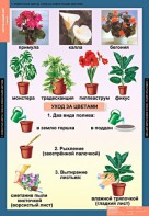 Комплект таблиц. Окружающий мир 1 класс. - fgospostavki.ru - Норильск