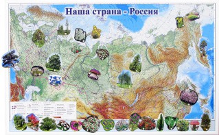 Магнитные карточки "Растения" - fgospostavki.ru - Норильск
