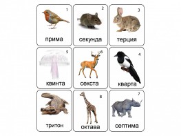 Набор магнитных карточек по музыке "Животные" (9 штук) - fgospostavki.ru - Норильск