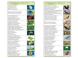 Комплект карточек (10) "Обучающий калейдоскоп. Природа" - fgospostavki.ru - Норильск