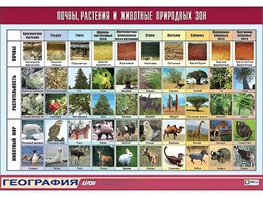 Таблица демонстрационная "Почвы, растения и животные природных зон" (винил 70*100) - fgospostavki.ru - Норильск